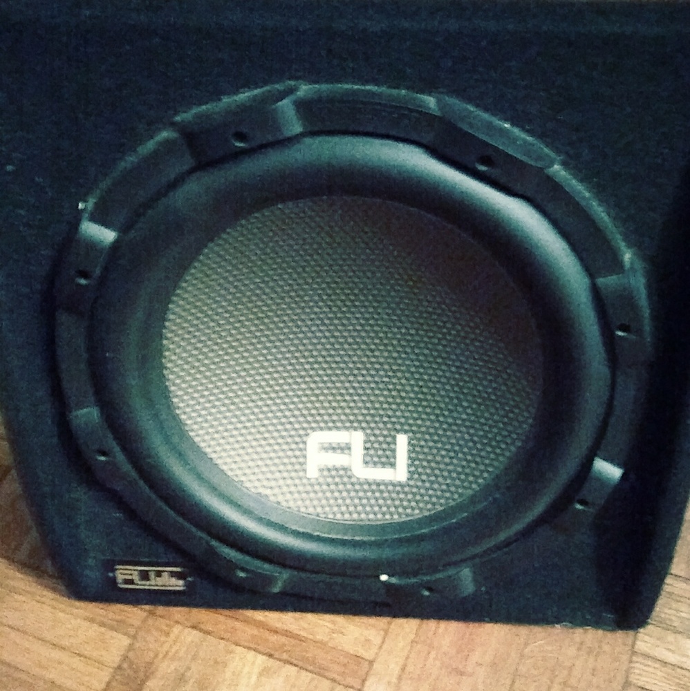 15 Inch FLI Subwoofer with 1000 Amp.